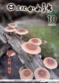 広報