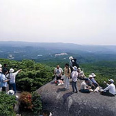 自然巡りコース