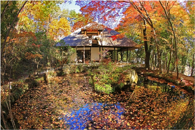 天山文庫4