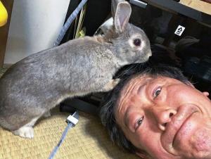 西巻さんとうさぎ