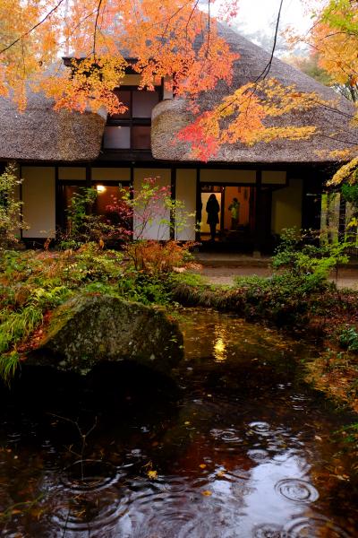 天山文庫（雨）