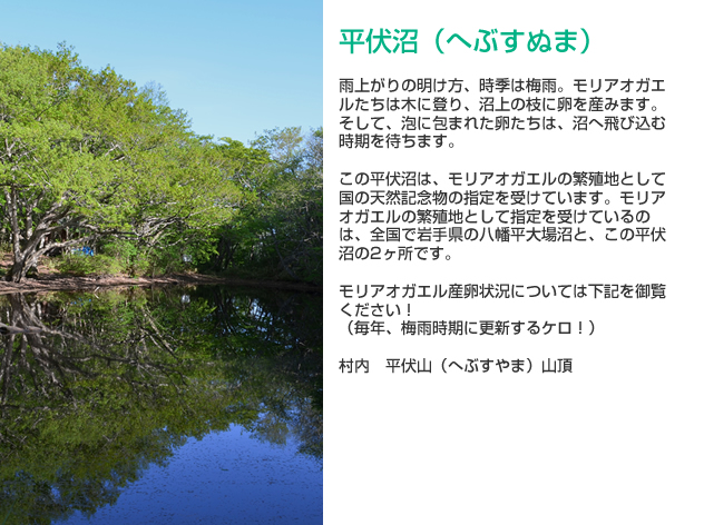 平伏沼の詳細