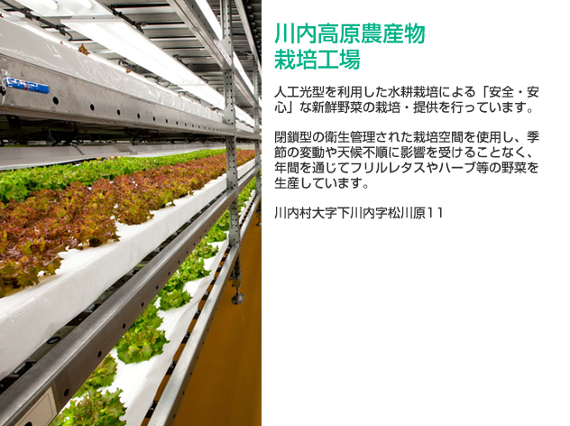 川内高原農産物栽培工場の詳細