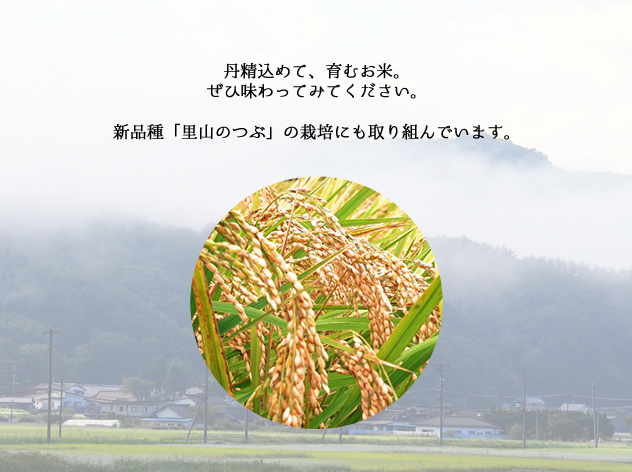 お米の詳細