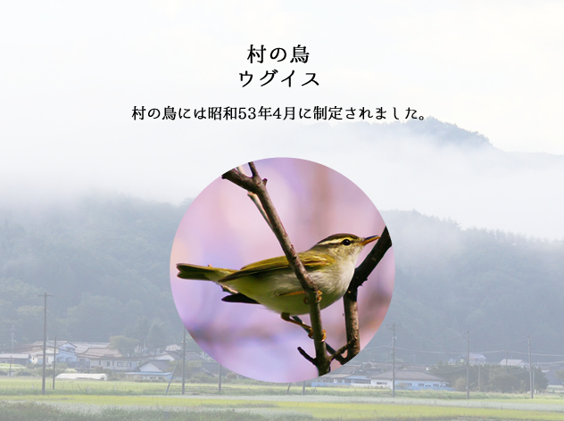 村の鳥 ウグイスの詳細